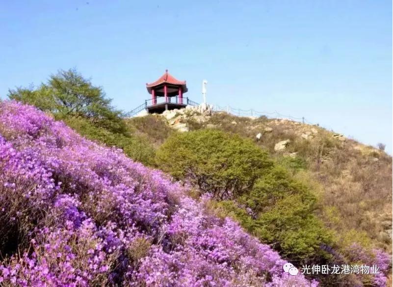 首页- 尊龙集团中国官网入口