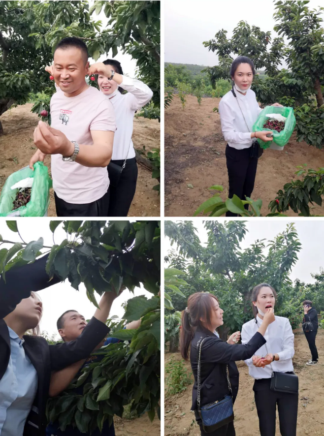 首页- 尊龙集团中国官网入口